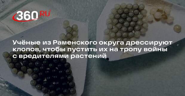 В Раменском округе разрабатывают экологичные методы защиты растений