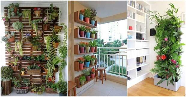 20 популярных идей украшения дома с вертикальным зеленым садом