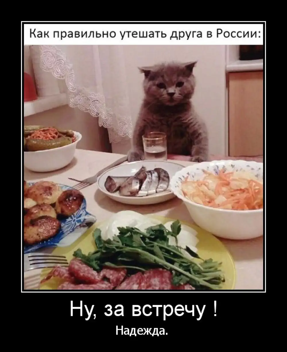 Пора обедать картинки прикольные