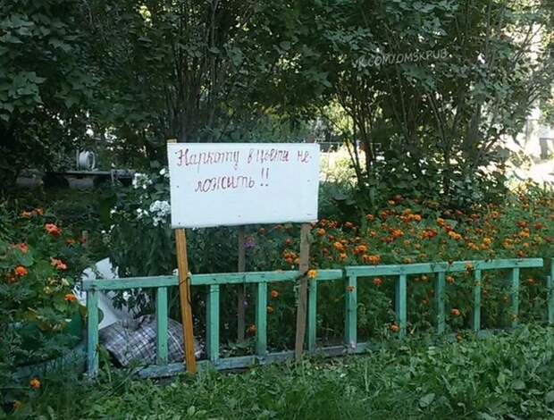 Подборка картинок. Дневной выпуск (50 фото)