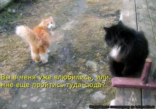 Мысли вслух :)