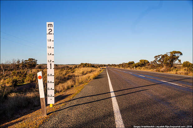 Двухметровые линейки на дорогах Австралии