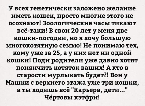 Смешные комментарии и высказывания из социальных сетей