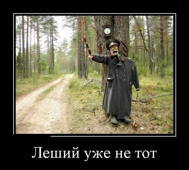 Демотиваторы (30 фото)