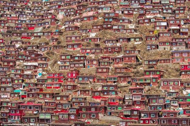 Все жилища однотипны: коричневая облицовка, красная крыша, три комнатки, отсутствие отопления и даже туалета Ларунг Гар, академия, буддизм