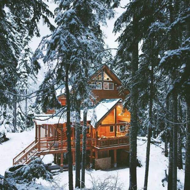 Жизнь прекрасна (61 фото)