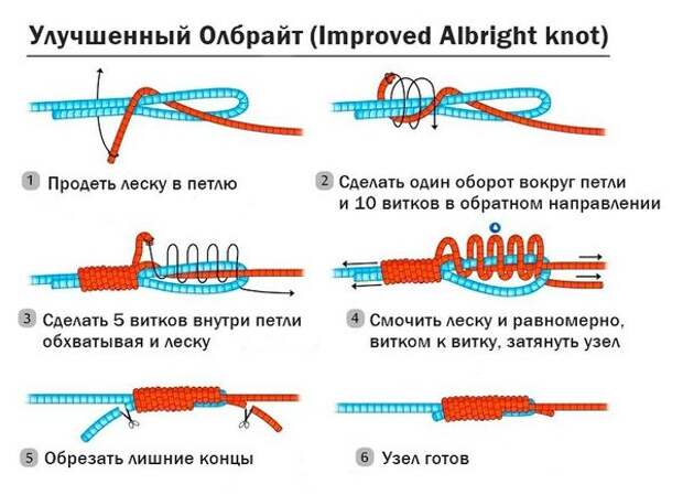 Улучшенный Олбрайт