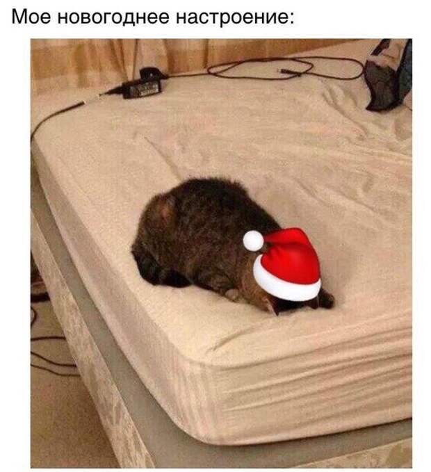 fuvBCxqBxZI