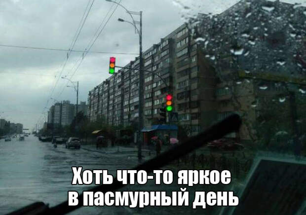 Подборка картинок. Дневной выпуск (50 фото)
