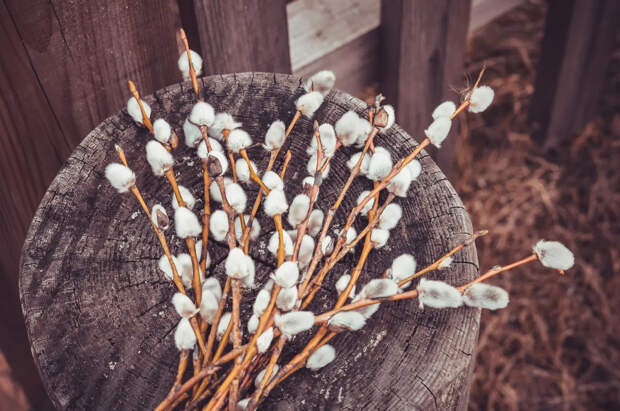 Лазарева суббота: суть и традиции праздника