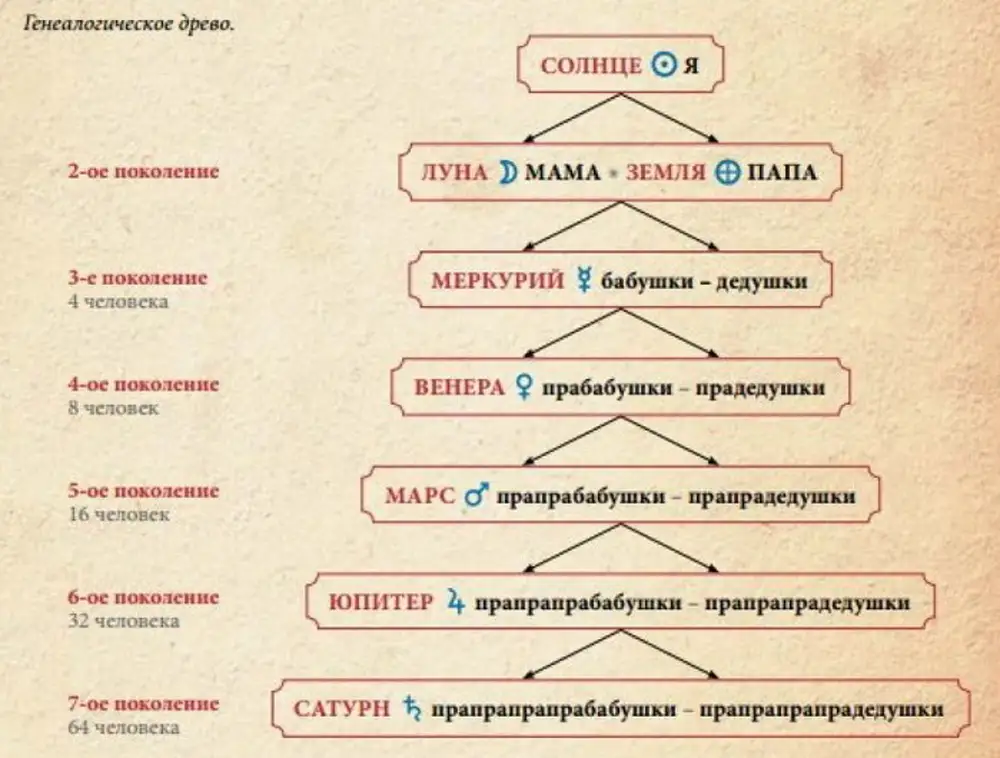Дать место в роду. Поколения рода. 7 Поколений рода. Род сколько поколений. Схема семи поколений рода.