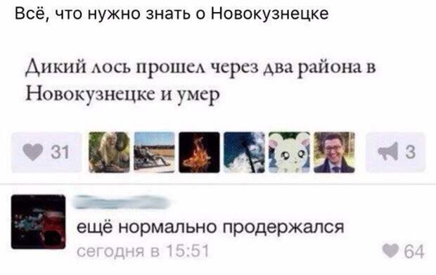 Прикольные картинки с надписями для поднятия настроения (11 фото)