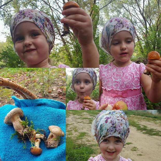 Дочь Антона и Виктории Макарских с грибочками в деревне грибы, знаменитости, лес, осень