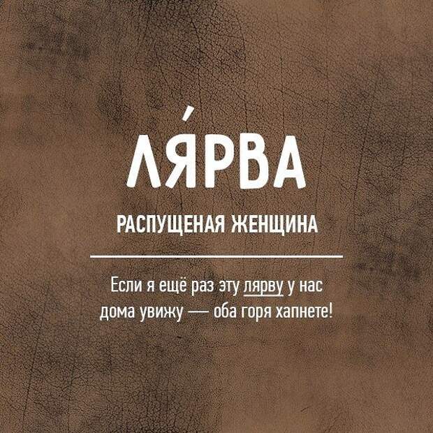 Лярва это женщина. Лапиндос. Литературные ругательства. Редкие ругательства русского языка. Редкие бранные слова русского языка.