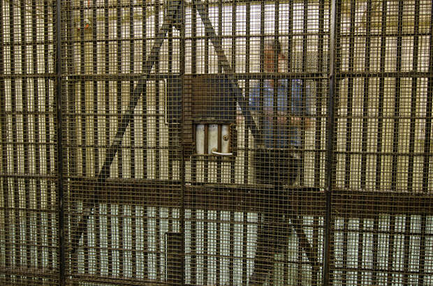 Женщина решила выйти замуж за осужденного убийцу за две недели до его казни