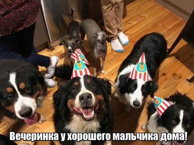 Подборка картинок