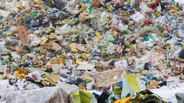 Не мусор, а сырье. К 2030 году на Алтае должны достичь переработки четверти всех отходов