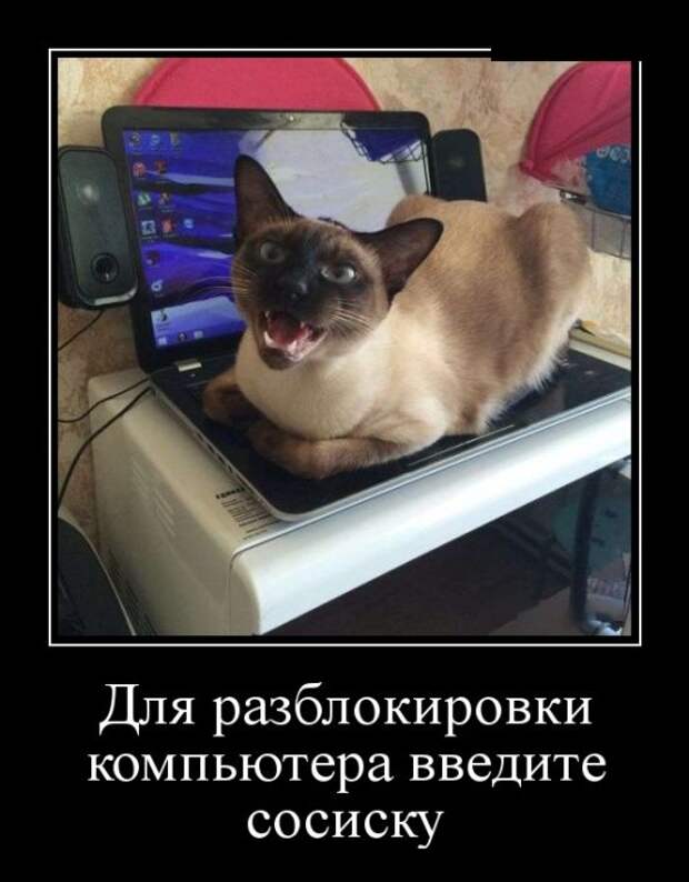 Демотиваторы