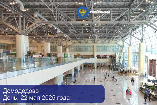 Аэропорты Внуково, Домодедово и Жуковский временно ограничили работу