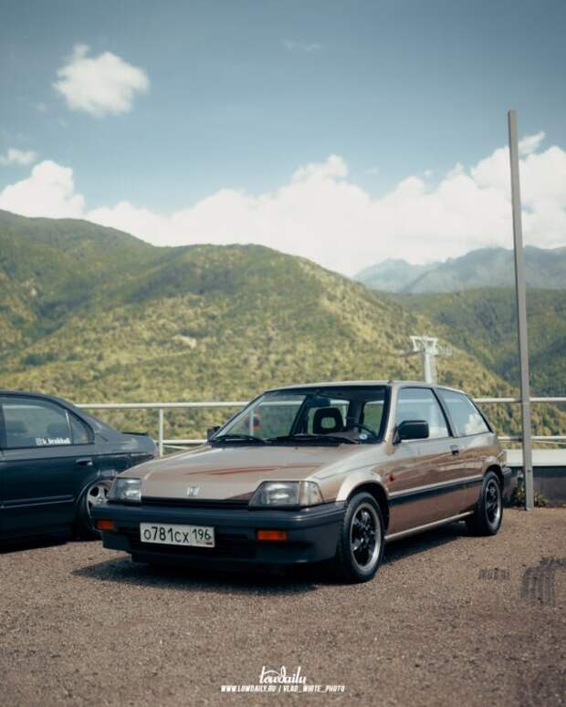 Lowdaily