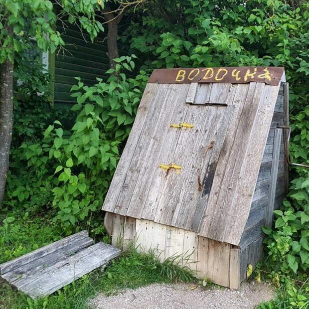Сельский колорит: технологии будущего в российских деревнях Сельский колорит: технологии будущего в российских деревнях