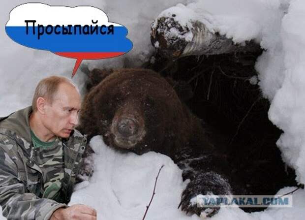 Картинки по запросу шурыгин и филиппов