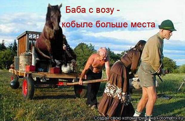 Лучшие котоматрицы недели (50 фото)