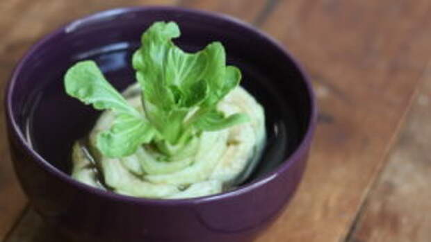 bok-choy-356