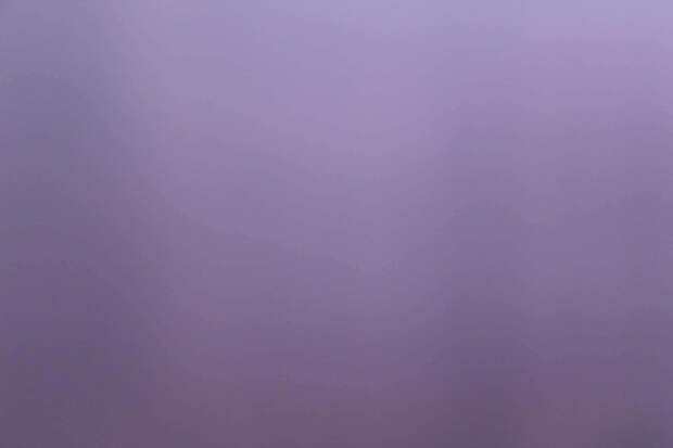 Вот из-за таких поблажек, они и ведут себя так?