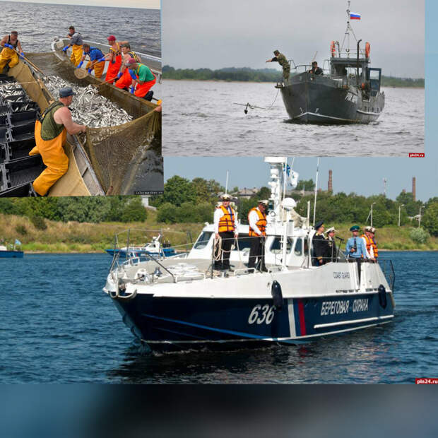 Вливание в коллектив. и немного о путине. Рассказы пограничника. Сатира. Юмор