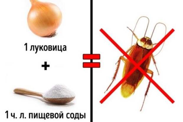 3 БЕЗОПАСНЫХ СПОСОБА ИЗБАВИТЬСЯ ОТ НАСЕКОМЫХ В ДОМЕ