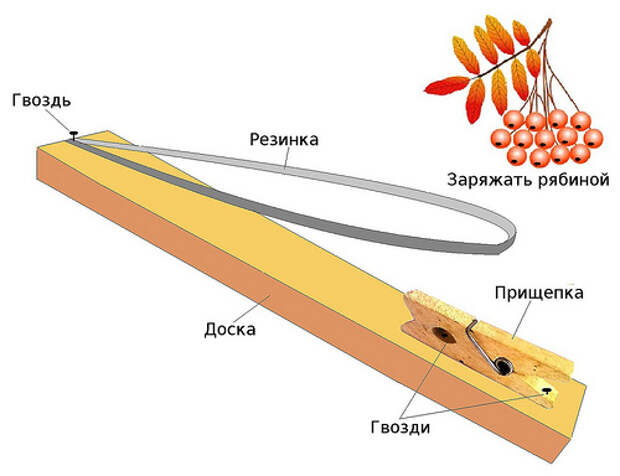 Самострел