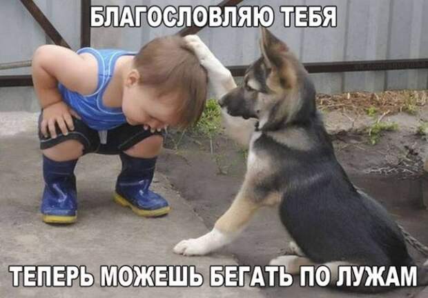 Подборка доброго юмора подборка, прикол, шутка, юмор