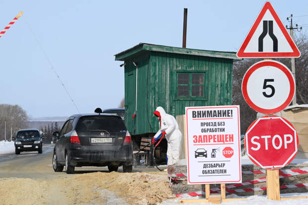 Нешумов: в Новосибирской области завершается изъятие скота из-за пастереллеза