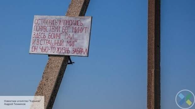 Бывший посол Малайзии раскритиковал выводы следствия о крушении «Боинга» на Украине
