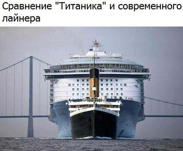 Картинки, юмор, приколы