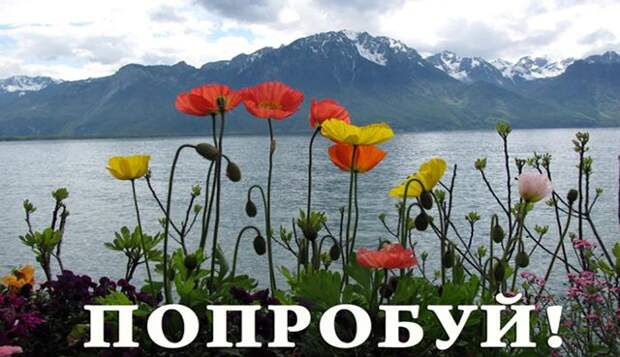 poprobyi