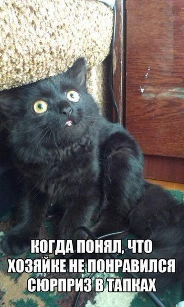 Подборка фотоприколов