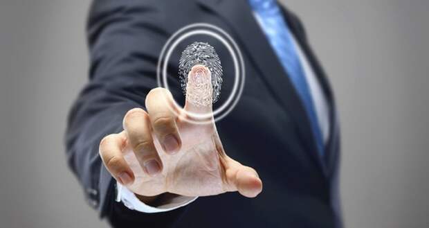 Ученые раскрыли секрет появления отпечатков пальцев