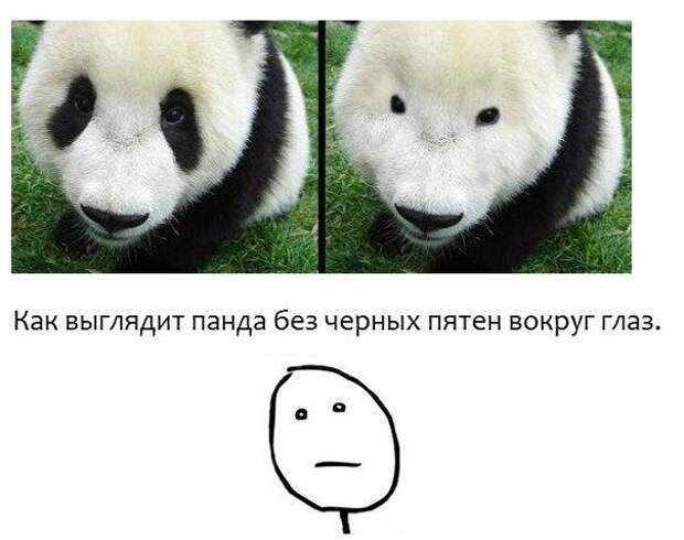 FmlLEVvnqbc