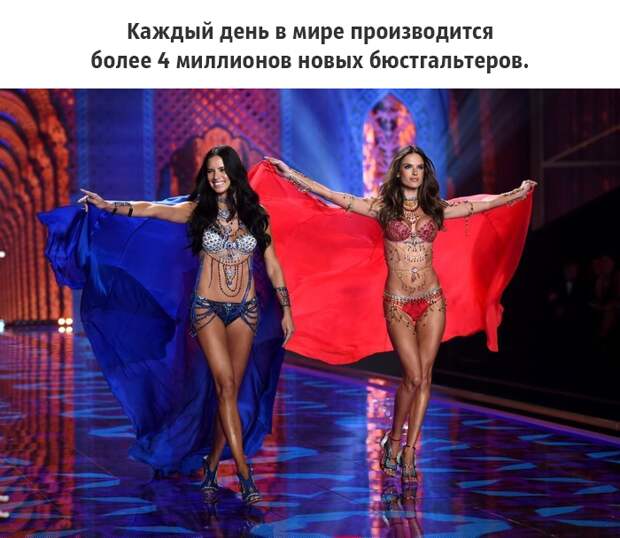25 малоизвестных фактов о груди, которые должен знать каждый грудь, факты