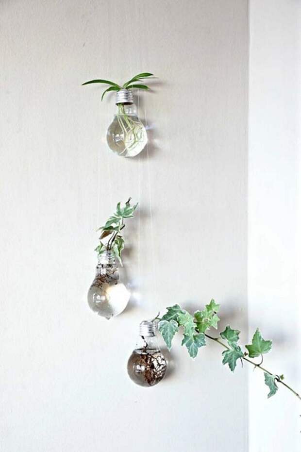 Симпатичный вариант оформления мини-сада в подвесном виде в лампочках.