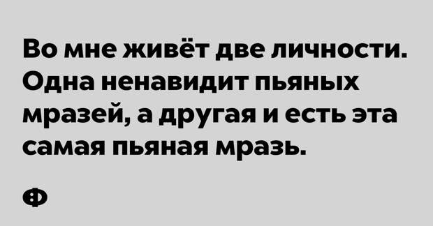 Во мне живёт две личности. Одна ненавидит пьяных мразей, а другая и есть эта самая пьяная мазь.