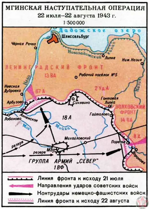 Синявинская операция карта