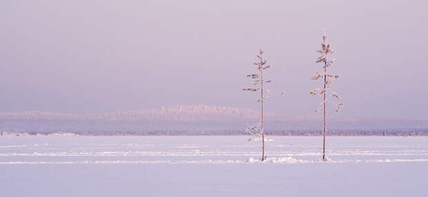 Карелия: озеро Куйто, Ладожское озеро Средняя температура: −9 −13 °C зима, красота России