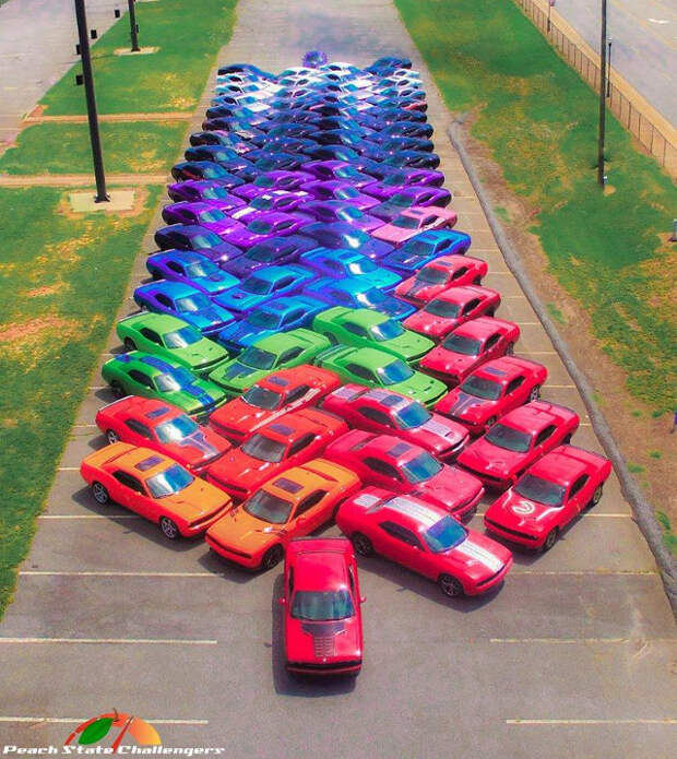 Фанаты Dodge Challenger сделали радугу из своих автомоблей challenger, dodge, флешмоб