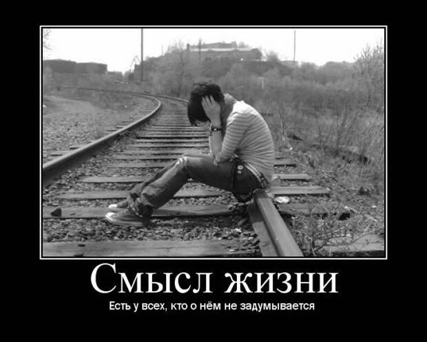 Похожее изображение