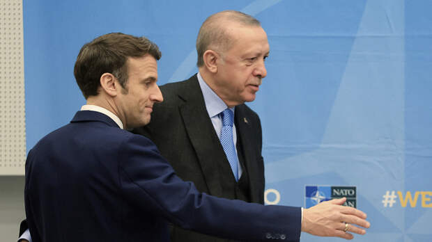 Эрдоган и Макрон обсудили украинский кризис и вступление Швеции и Финляндии в НАТО