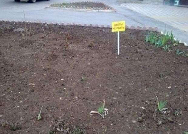 Не очень-то и хотелось Не очень-то и хотелось
