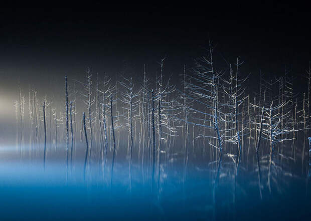 14. Балет, Япония national geographic, вокруг света, природа, фотография